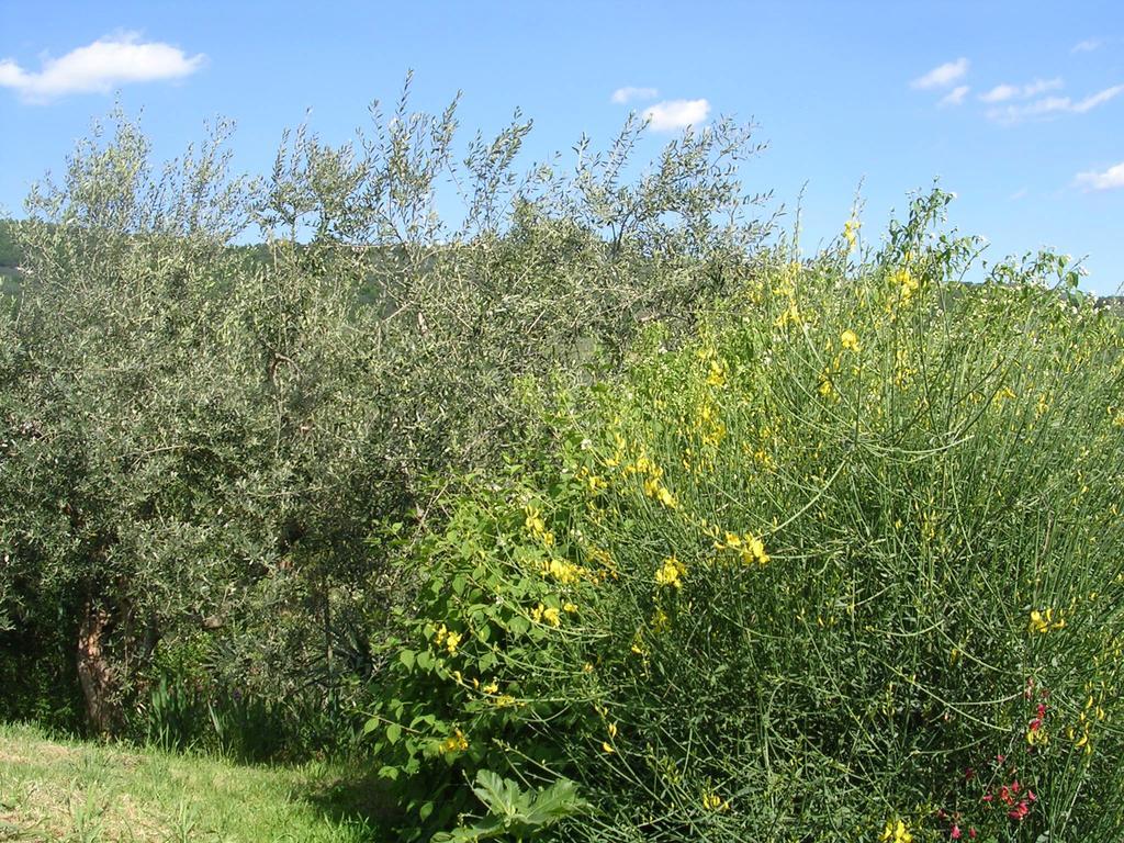 Guardalaluna Villa Pian di Scò Buitenkant foto